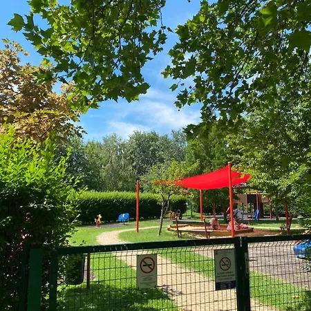 Sunshine Blue * 扎马迪