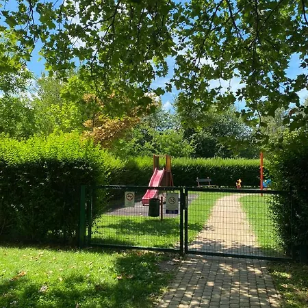 Sunshine Blue Zamárdi